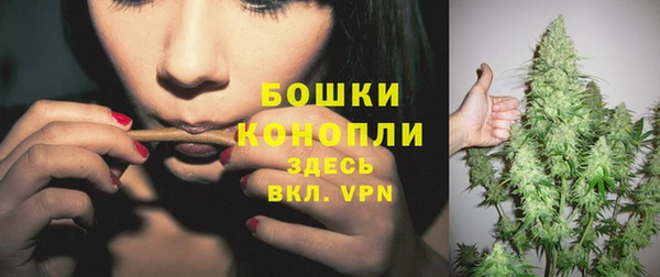 дурь Ладушкин