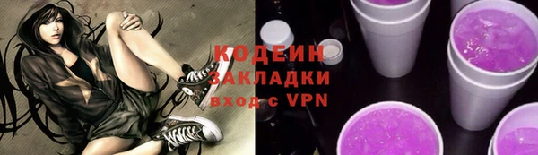 дмт Гатчина