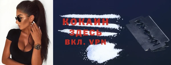 mdpv Краснослободск